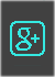 Google Plus